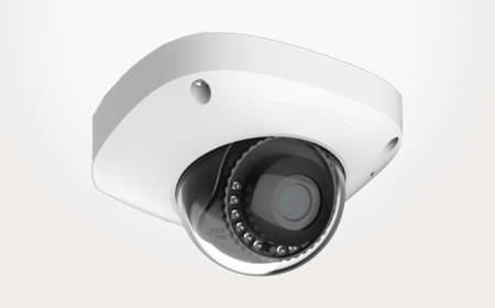 Security Camera for Business, Outdoor Mini-Dome, SafeTight Security, Oakland, CA, 510-439-9500