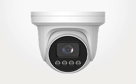 Security Camera for Business, Turret, Indoor, Outdoor, DT02, SafeTight Security, Oakland, CA, 510-439-9500